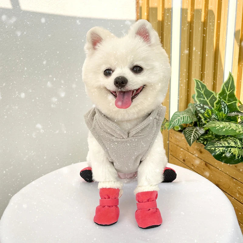 White dog wearing a gray sweater and red boots sitting on a white surface with a snowy background.