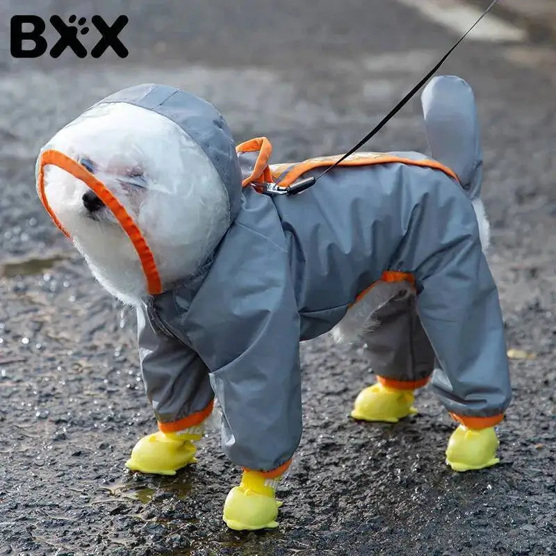 A small white dog wearing a gray pet raincoat with bright orange trim and yellow booties, standing on wet pavement outdoors. The brand name BXX is visible in the top left corner.