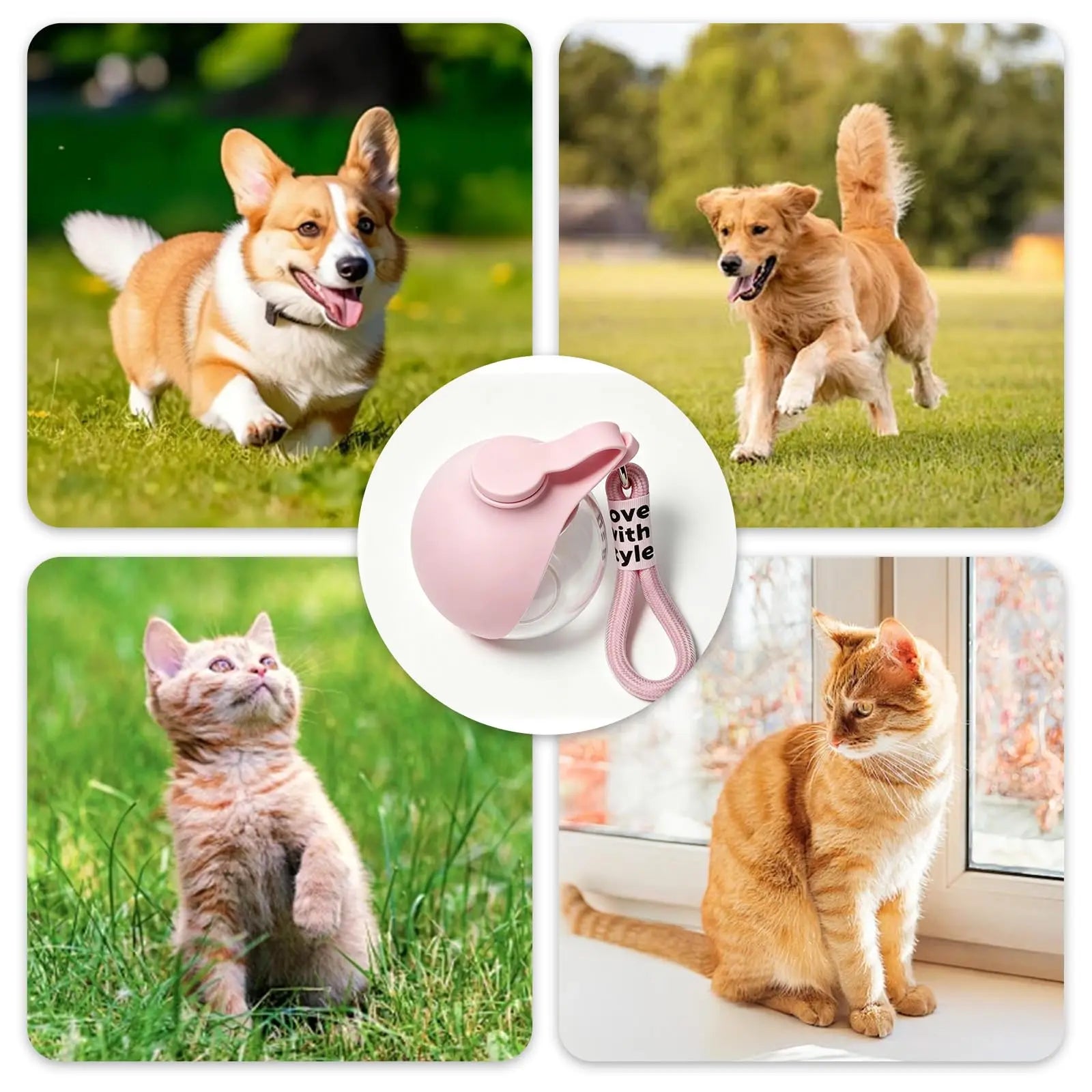 2-in-1 Portable Dog Water Bottle with Foldable Silicone Bowl – Leak-Proof Travel Pet Feeder