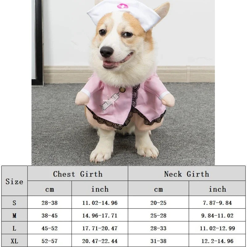 Dog wearing a pink outfit with a size chart below