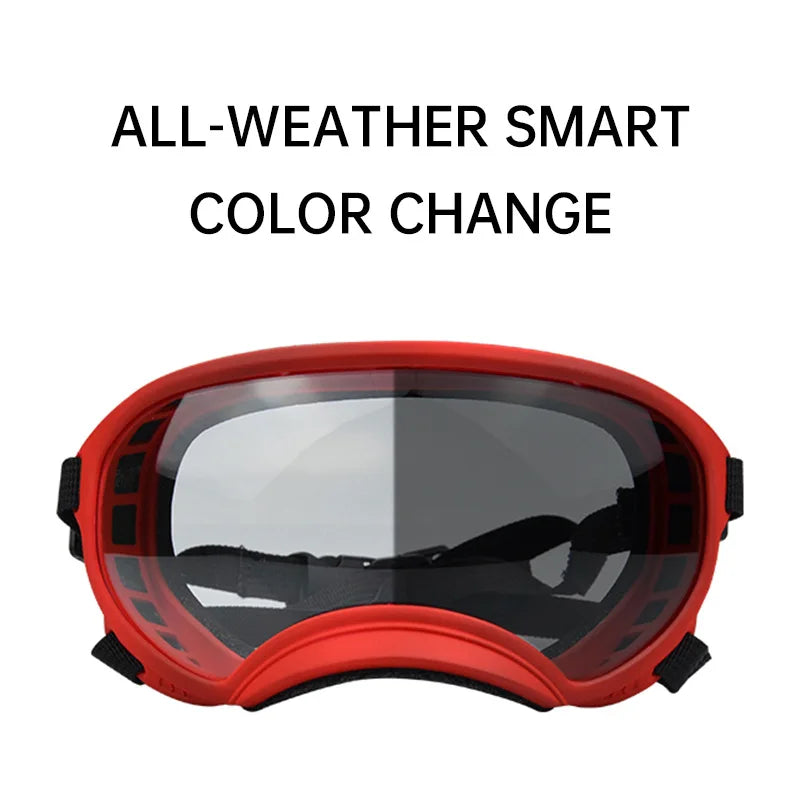 Color-Changing Dog Sunglasses & Goggles – UV-Resistant Eye Protection for Dogs