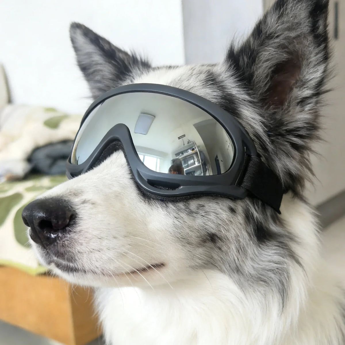 Dog Sunglasses UV400 – Stylish Protective Eyewear for Large Dogs & Puppies