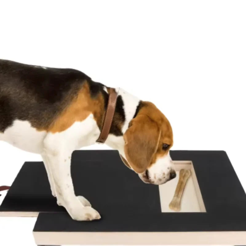 Wooden Dog Scratching Board with Treat Box & Nail Trim Pad – Interactive Paw Care Toy