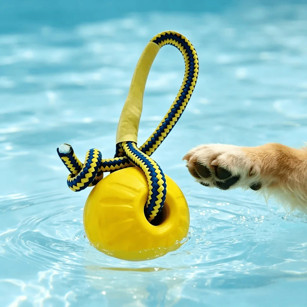 Floating Dog Pool Toys – Interactive Fetch Bumpers for Lake & Beach Play | Medium & Large Dogs