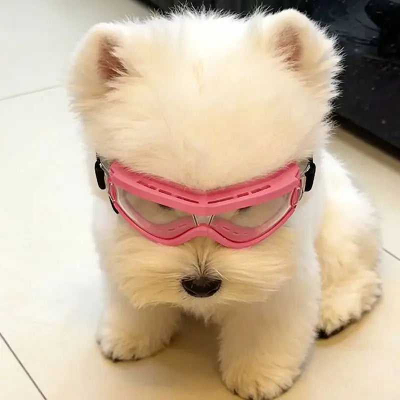 Dog Goggles for Sun, Wind & Dust