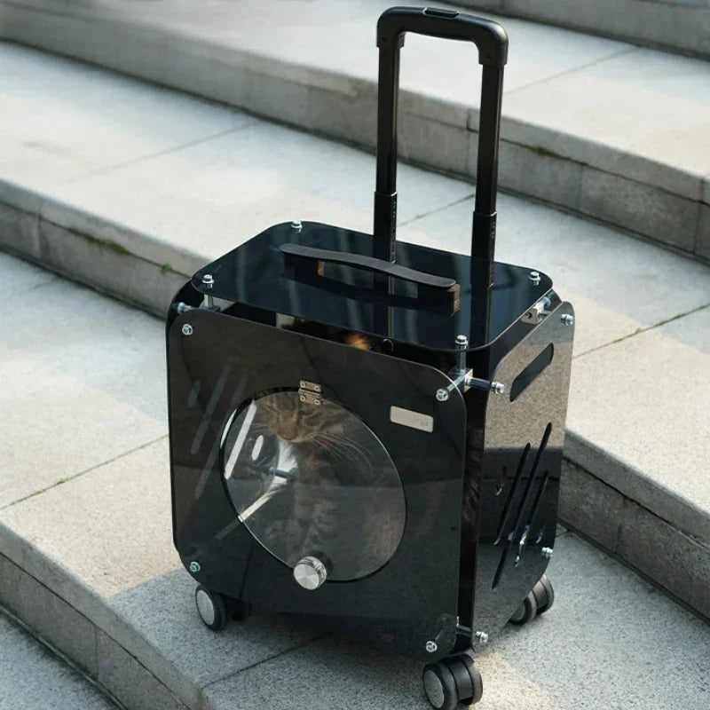 Black suitcase with a transparent circular window on a concrete surface