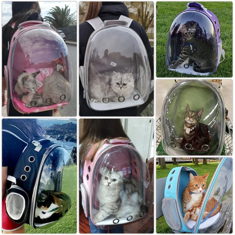 Space Capsule Pet Carrier Backpack — Transparent Breathable Travel Bag for Cats & Small Dogs