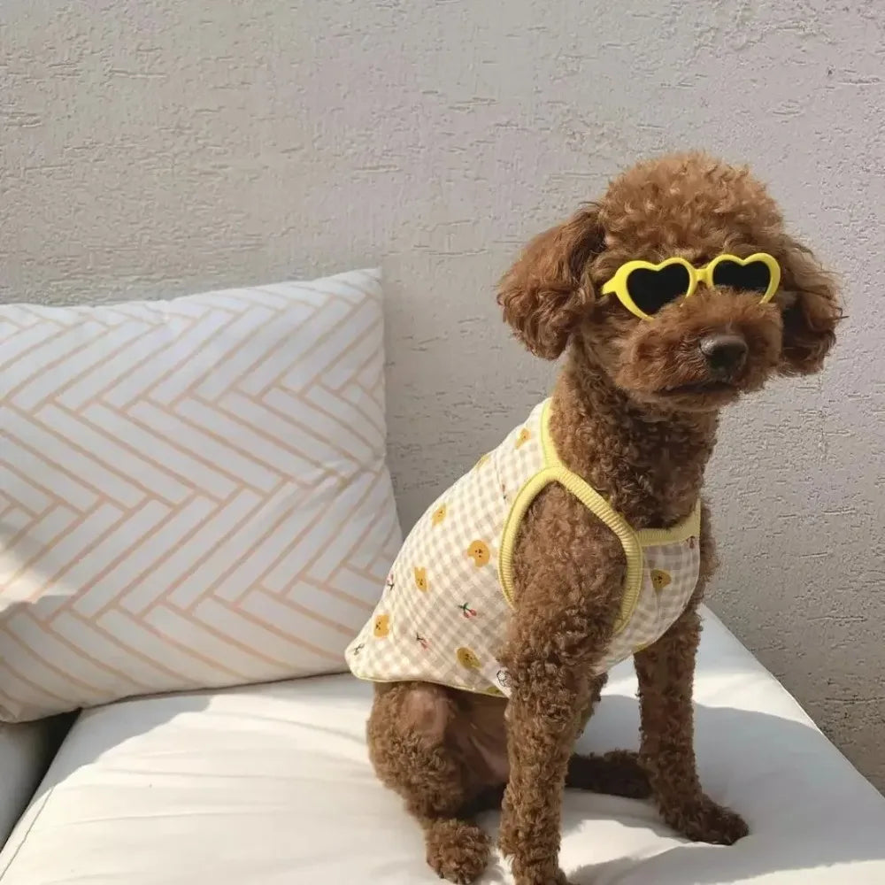 Fashion Pet Sunglasses for Dogs & Cats – UV Protection, Jewelry Accent, Multi-Color