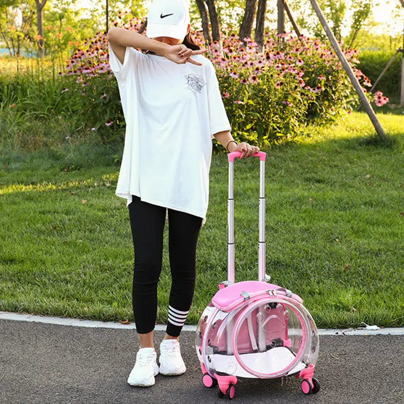 A person standing outdoors on a paved path in a park next to a pink rolling pet carrier suitcase. The person is wearing a white t-shirt, black leggings, and white sneakers, with a white cap in hand.