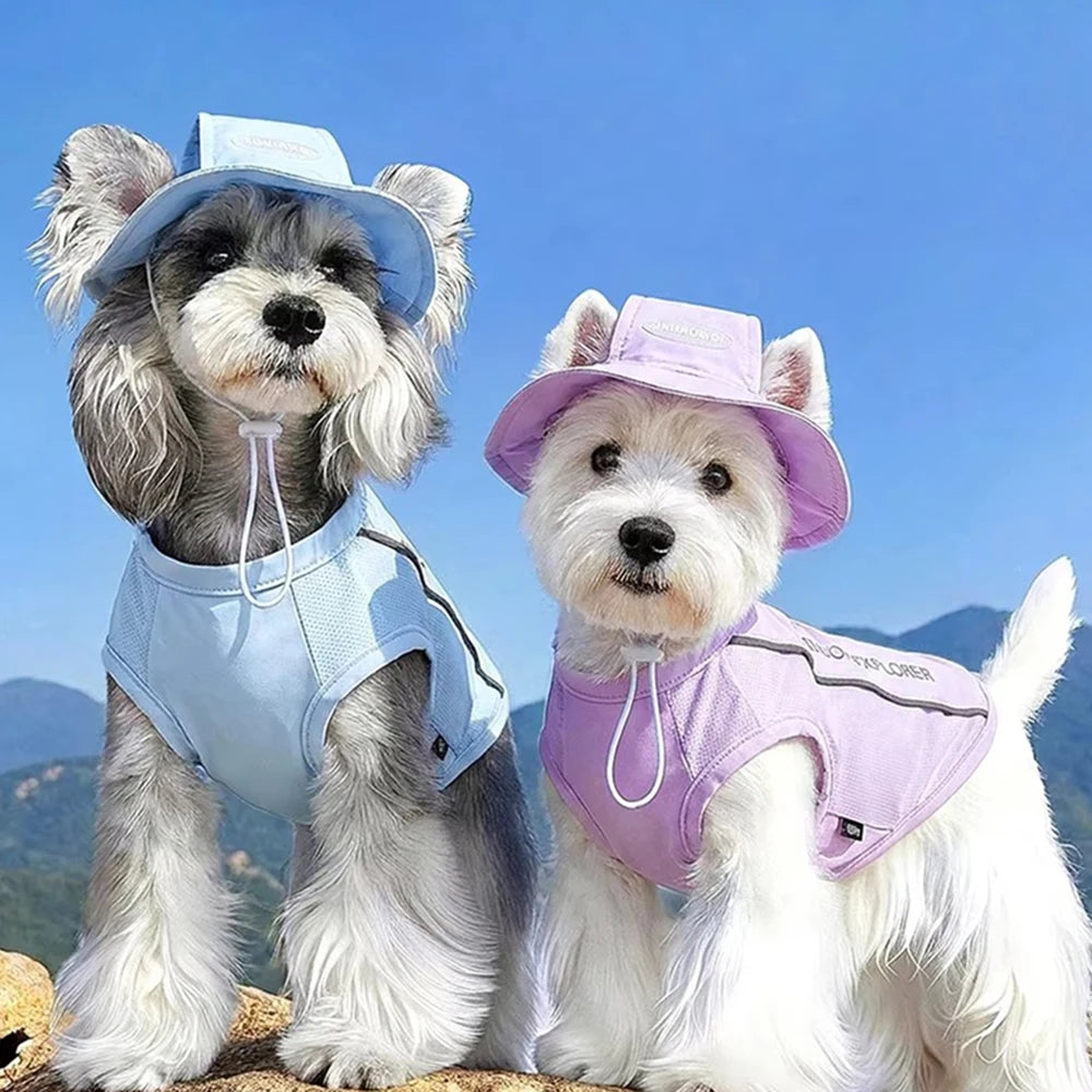 Two small dogs outdoors wearing matching sun hats and harnesses, one in light blue and one in light purple, against a blue sky and mountain background.