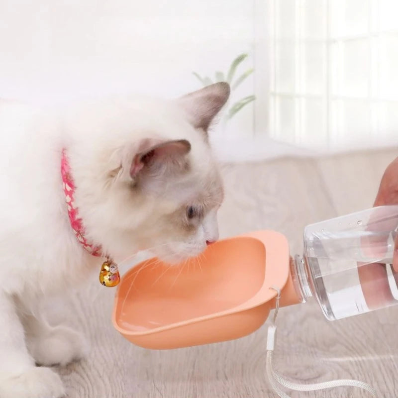 Portable Pet Travel Bowl