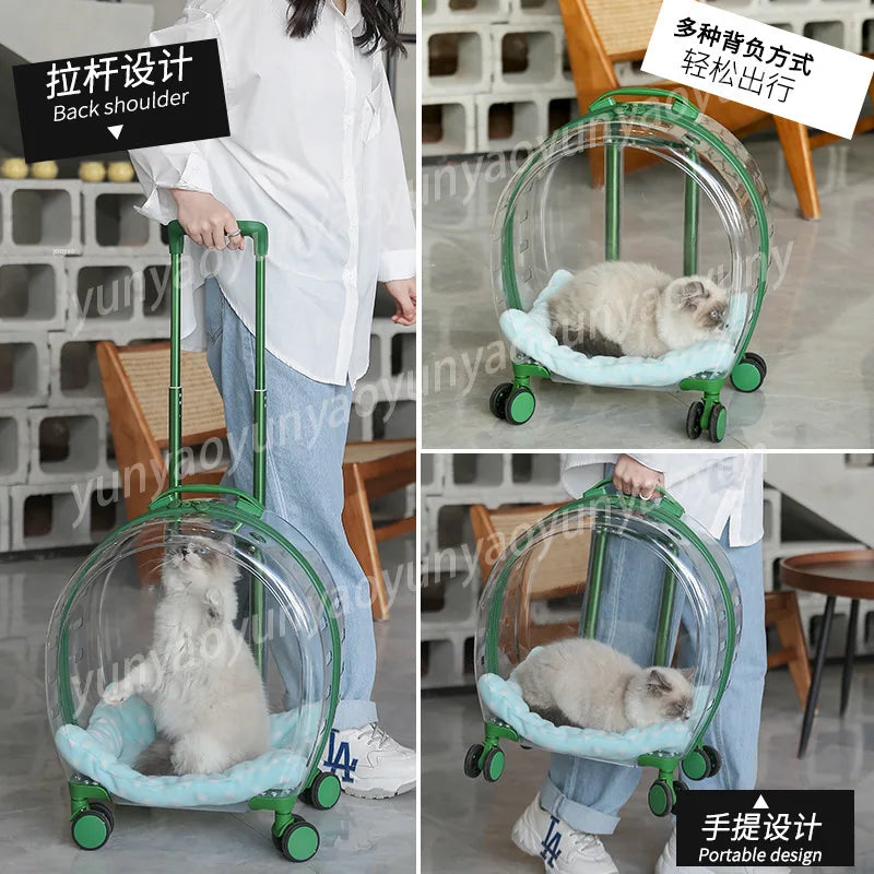 A collage showing a pet stroller with a transparent dome and green frame being used by a person in an indoor setting. The stroller has a light blue cushioned floor, green wheels, and handle details, with Chinese text overlays highlighting features like back shoulder support, portable design, and handheld design.