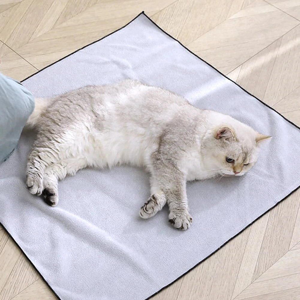 Cat lying on a white mat on a wooden floor