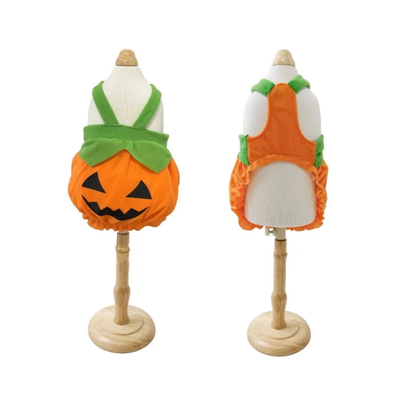 Halloween Pumpkin Dog & Cat Costume