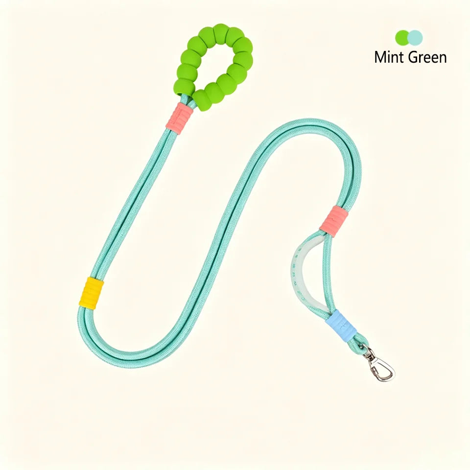 No-Pull Dual-Mode Dog Leash with Shock Absorber