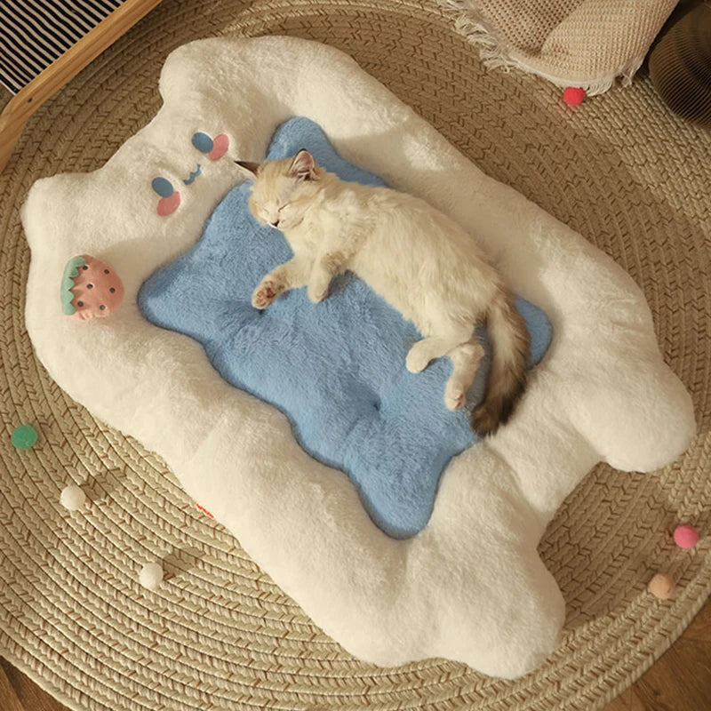 Cat lying on a blue cushion with a white border on a textured surface