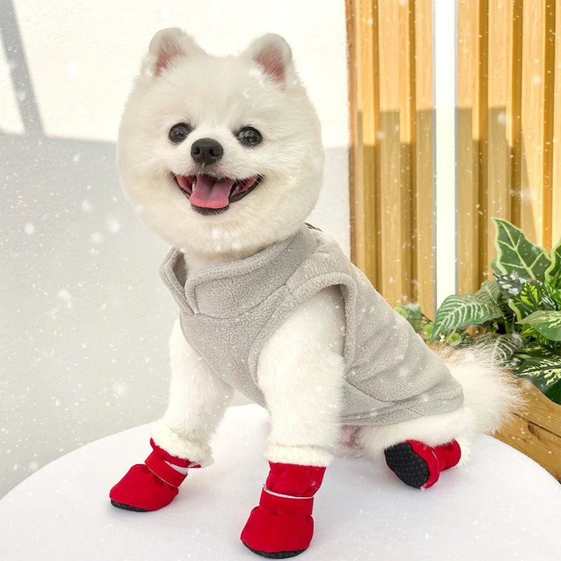 White dog wearing a gray fleece vest and red boots indoors with a snowy background