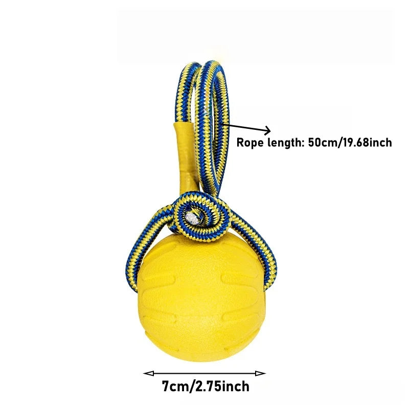 Floating Dog Pool Toys – Interactive Fetch Bumpers for Lake & Beach Play | Medium & Large Dogs