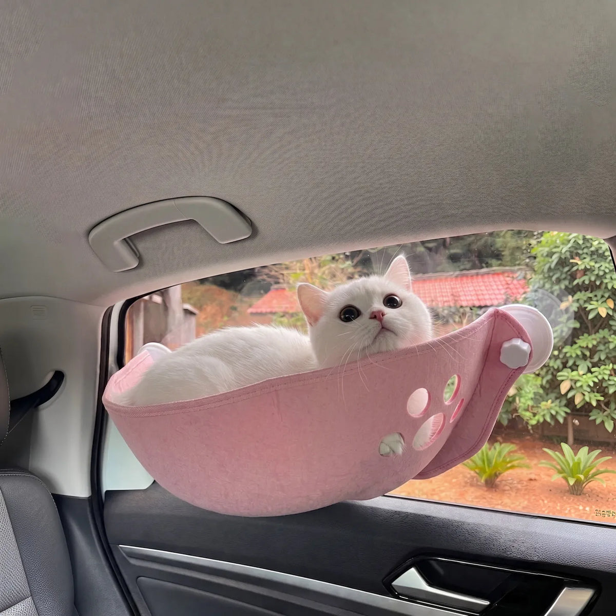 A white cat rests inside a pink car window pet bed mounted on the side of a vehicle, with the car interior and outdoor scenery visible.