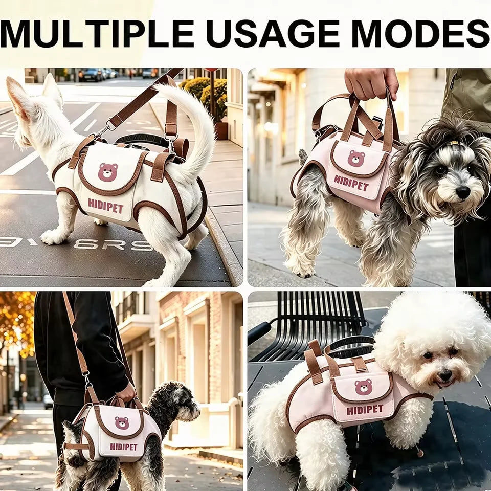 3-in-1 Breathable Pet Carrier Bag for Small Dogs & Cats