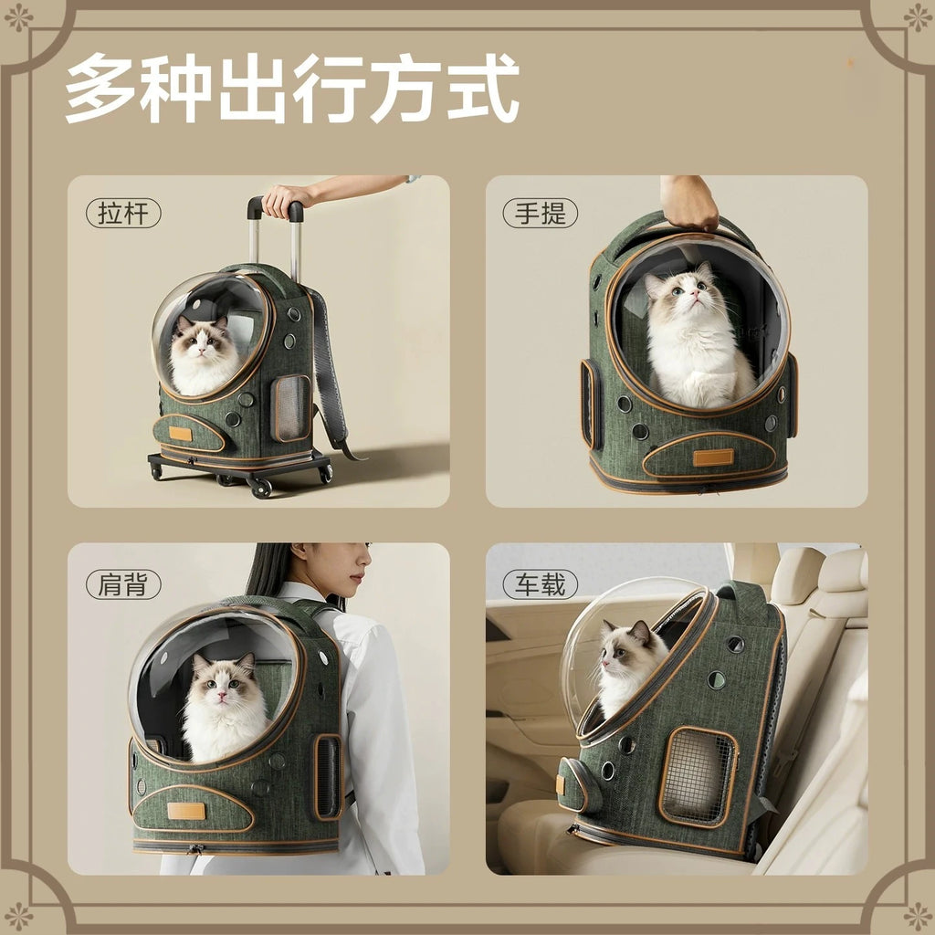 A four-panel collage showing a pet carrier backpack with a cat inside, demonstrating different ways to carry it: with a handle, with a handheld strap, worn on a person's shoulder, and placed in a car. The top text reads '多种出行方式'.
