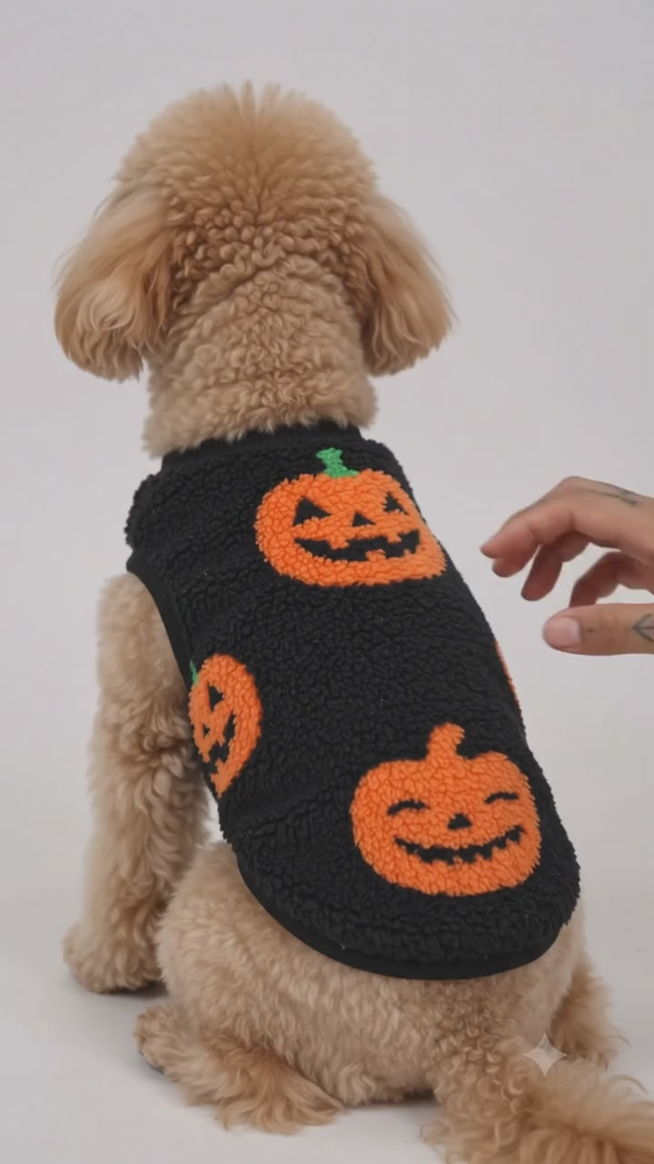 Halloween Fleece Pumpkin Vest for Dogs & Cats