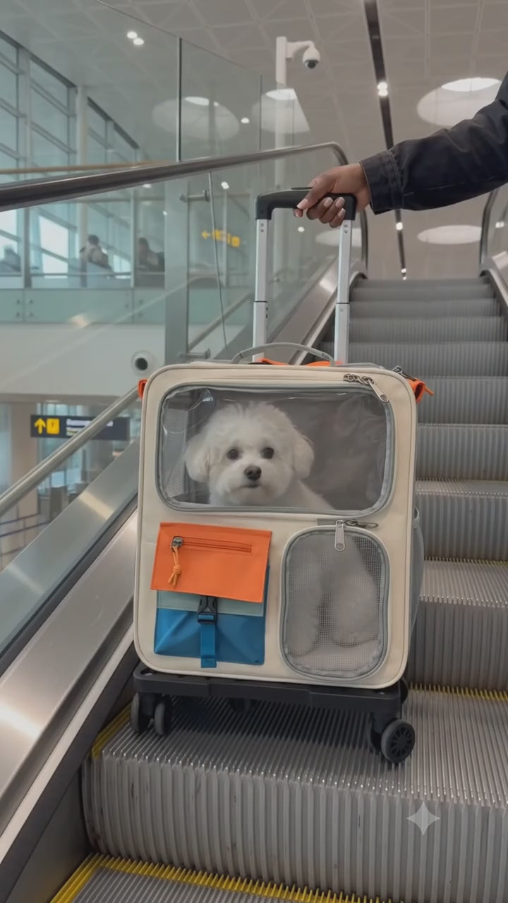2-in-1 Rolling Pet Carrier Backpack with Trolley & Mesh Window