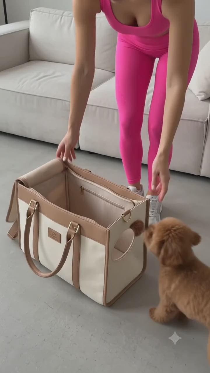Bear Head Pet Carrier Bag