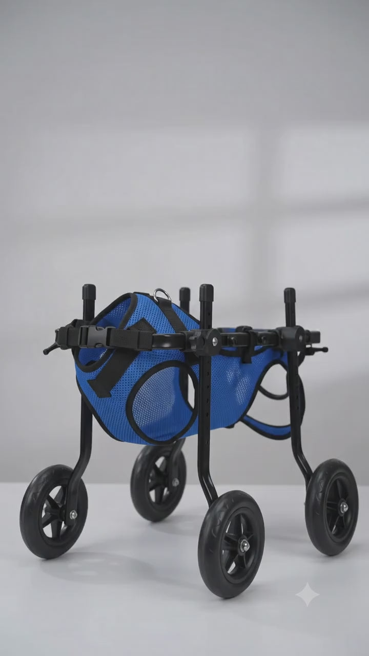Adjustable Dog Wheelchair for Back Legs