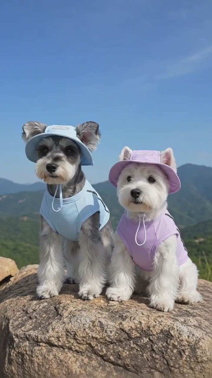 Dog Summer Cooling Vest & Cap Set