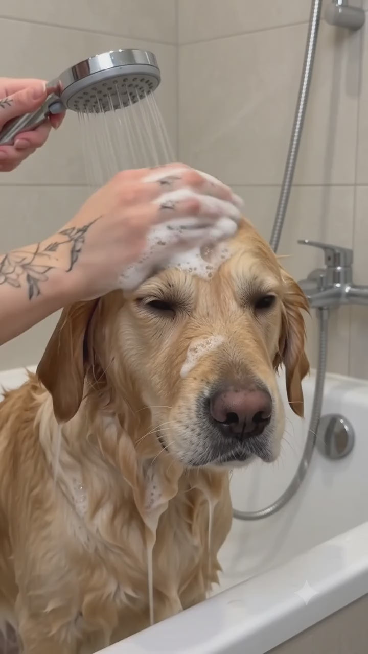 Waterproof Dog Bathing Cap with Ear Protection