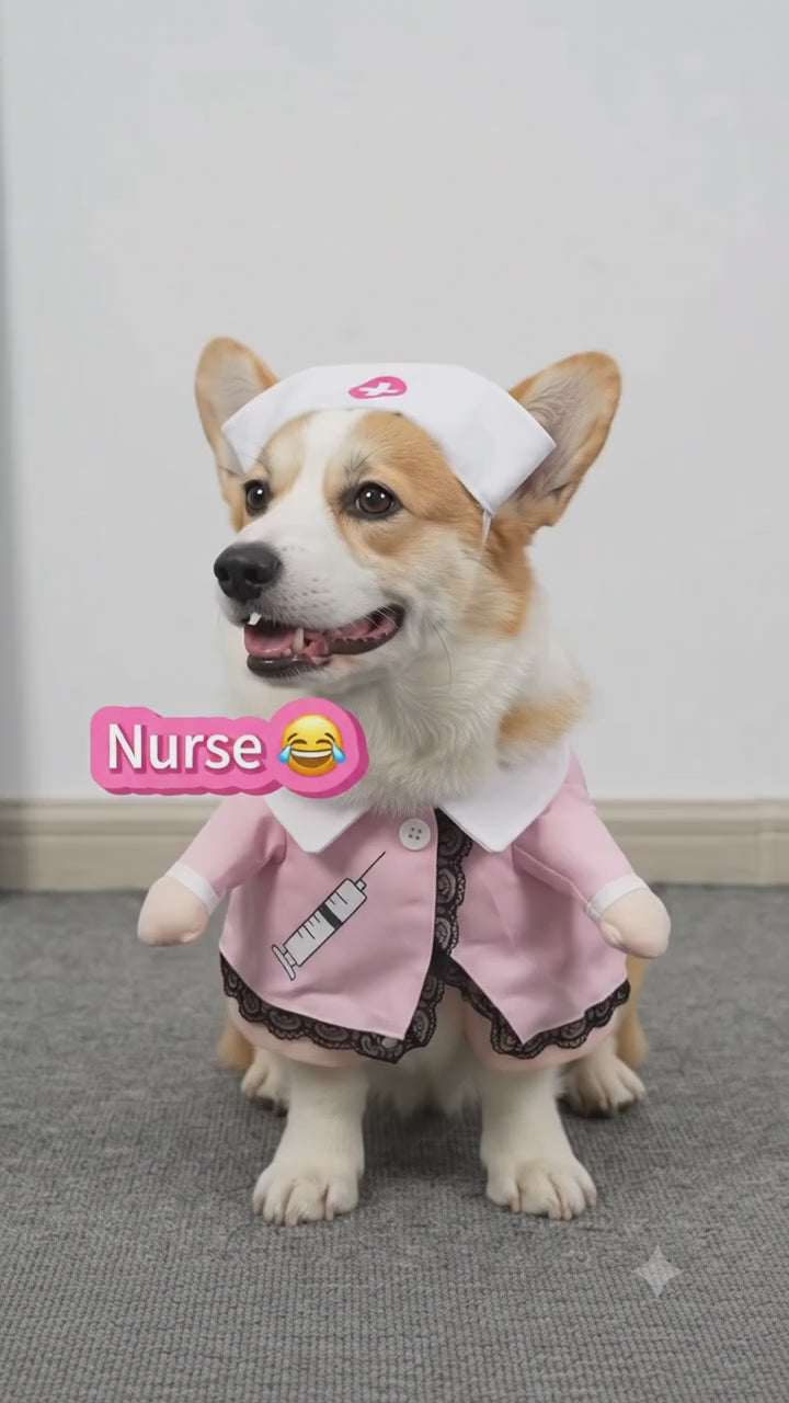 Pet Halloween & Christmas Cosplay Costume Dress