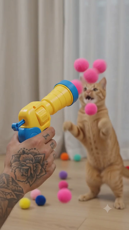 21pcs Cat Interactive Playset